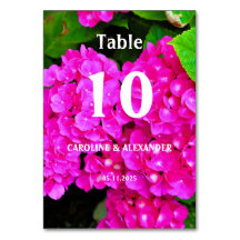 あじさいエレガントピンクフローラの花