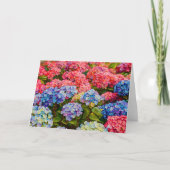 あじさいカラフルかわいらし花アート カード (正面)