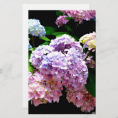 あじさいガーデンピンクフローラブルーパープルフローラ 便箋 (正面/裏面)