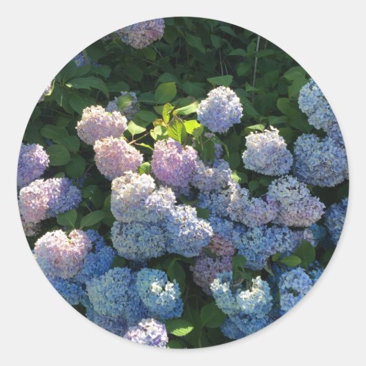 あじさいステッカー封筒用シール付き花 ラウンドシール (正面)