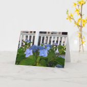 あじさいビクトリアンとポーチ – Martha's Vineヤード カード (黄色い花)