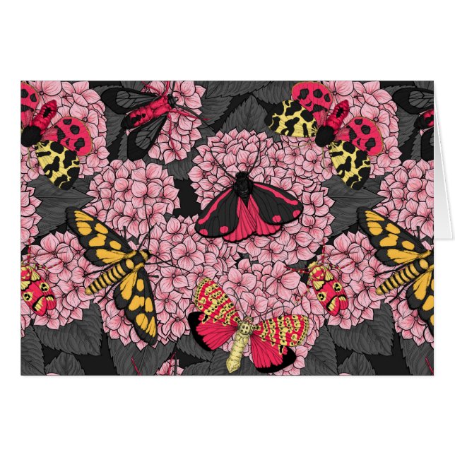 あじさいピンク (正面横)