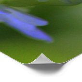 あじさいポスター ポスター (角)