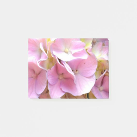 あじさい園，ピンク，青，紫のフローラ ポストイット (正面)