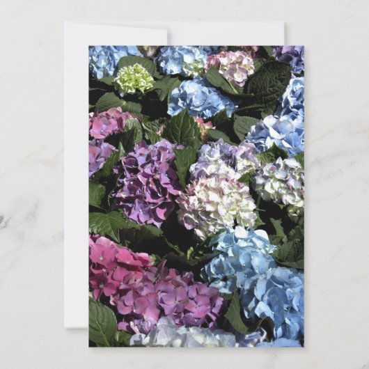 あじさい数々のの花の誕生日パーティー 招待状 (裏面)