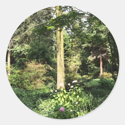 あじさい木自然写真 ラウンドシール (正面)