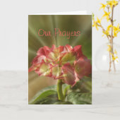 あじさい祈りの言葉カードまたは大事な行事 カード (黄色い花)