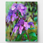 あじさい花を叫ぶ紫色のひねり フォトプラーク (正面)