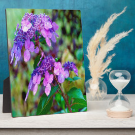 あじさい花を叫ぶ紫色のひねり フォトプラーク