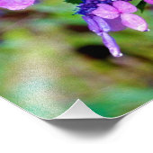 あじさい花を叫ぶ紫色のひねり フォトプリント (角)