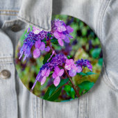 あじさい花を叫ぶ紫色のひねり 缶バッジ (インサイチュ)