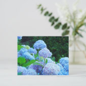 あじさい花ガーデンポストカードブルーアジサイ ポストカード (スタンド正面)