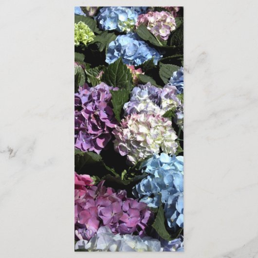 あじさい花フレーム結婚式 プログラム (裏面)