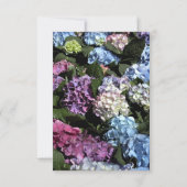 あじさい花額縁縁結び発表 案内状 (裏面)