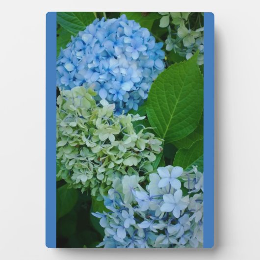 あじさい花 フォトプラーク (正面)