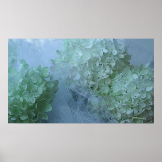 あじさい19 ポスター (正面)