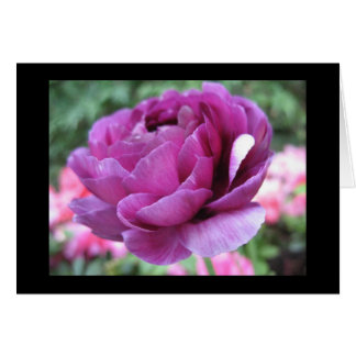 あずき色の狂気