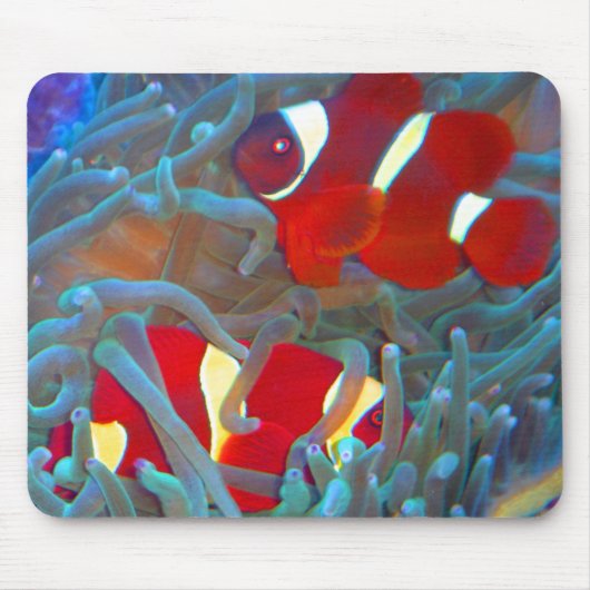 あずき色のClownfishのマウスパッド マウスパッド (正面)