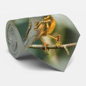 あぜんとした、しかし安全で美しい変化したスリッシュ ネクタイ (ロール)