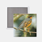 あぜんとした、しかし安全で美しい変化したスリッシュ マグネット (正面/裏面)