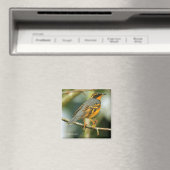 あぜんとした、しかし安全で美しい変化したスリッシュ マグネット (インサイチュ (食洗機))