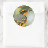 あぜんとした、しかし安全で美しい変化したスリッシュ ラウンドシール (バッグ)