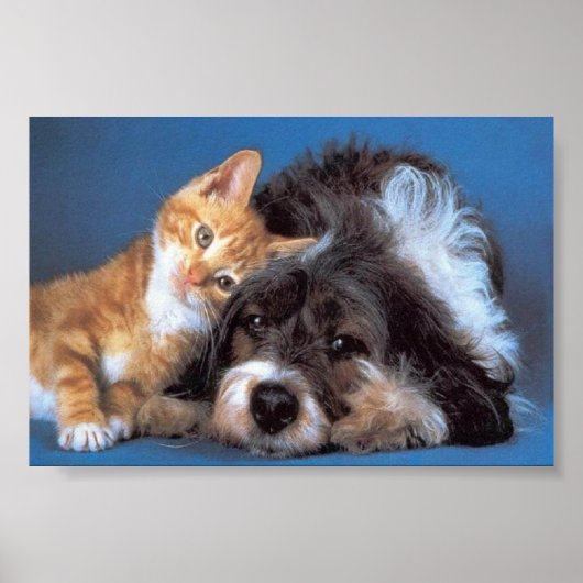 あそこだ ポスター (正面)