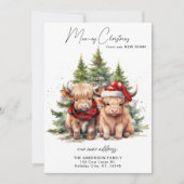 あたたかなハイランド・カウ 新しい住所 メリークリスマス シーズンカード (正面)