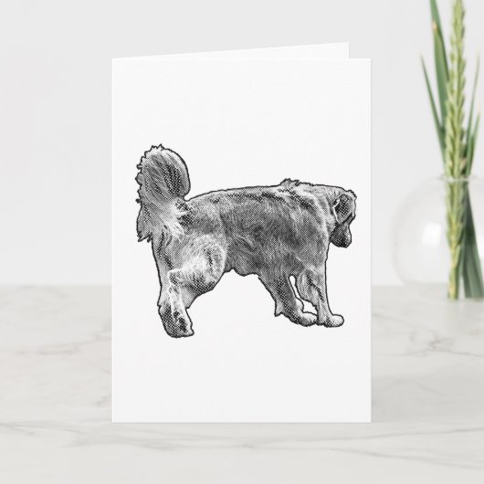 あたたかなメモ、ドットストライド カード (正面)