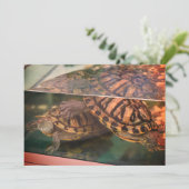 あたたかな土の気配のするカメの反射カード 招待状 (スタンド正面)