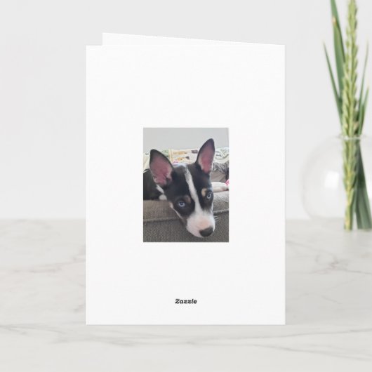 あつるの中で元気なカードかわいい子犬のカード カード (裏面)