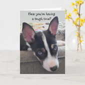 あつるの中で元気なカードかわいい子犬のカード カード (黄色い花)