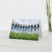 あつるの子犬のグリーティングカード カード (正面)