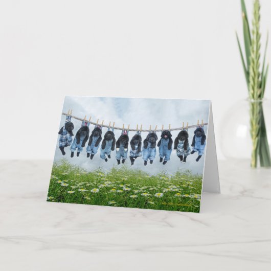 あつるの子犬のグリーティングカード カード (正面)