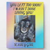 あなたがあまりにも早く去った ペットの記念 写真と名前 フォトプラーク (正面)