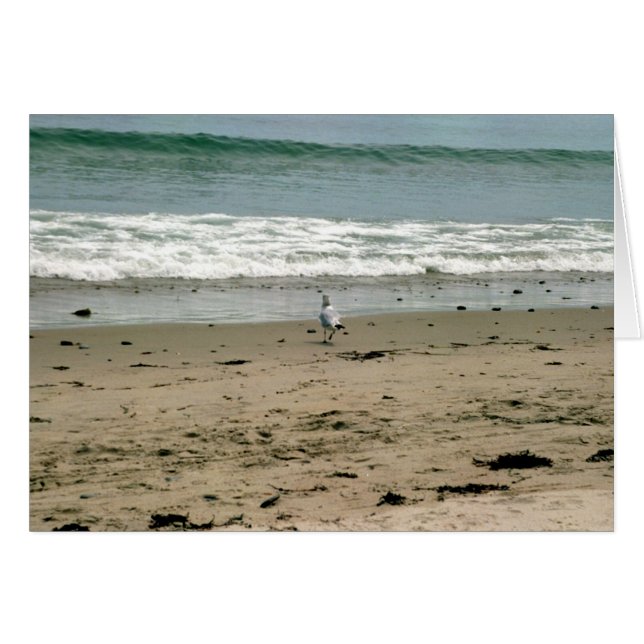 あなたがいなくて寂しい (正面横)