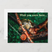 あなたがいなくて寂しい ポストカード (正面/裏面)