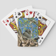 あなたがトランプで遊んでいるのを見ています
