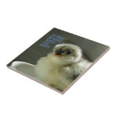 あなたが幸せになる何をより多くを行うシック座るティーカップ タイル (側面)