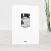 あなたが梳くPapillon Iの失敗 カード (裏面)