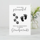あなたが犬の妊娠を促進された祖父母 案内状 (スタンド正面)