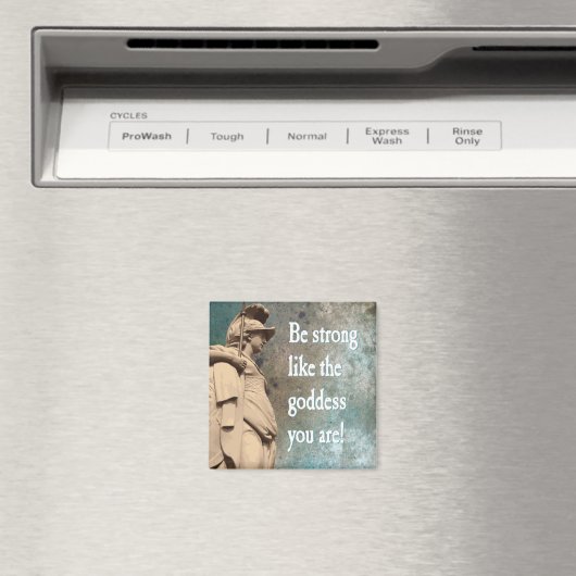 あなたが癒しのサポートしている女神のように強く マグネット (インサイチュ (食洗機))