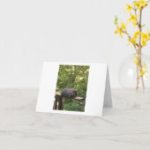 あなたが約気にする誰かのためのかわいい動物カード カード (黄色い花)