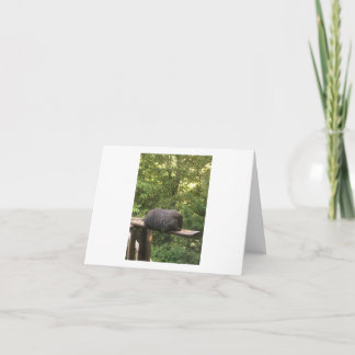 あなたが約気にする誰かのためのかわいい動物カード カード