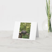 あなたが約気にする誰かのためのかわいい動物カード カード (正面)