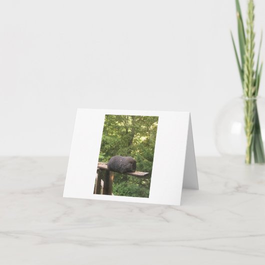 あなたが約気にする誰かのためのかわいい動物カード カード (正面)