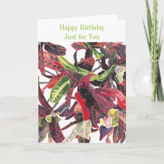 あなただけのお誕生日 熱帯の植物の葉 カード (正面)