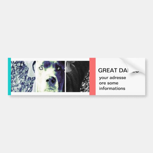 あなただけのバンパーステッカー バンパーステッカー (正面)