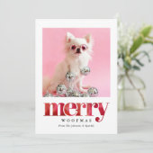 あなただけのペット写真 | メリーウーフマス シーズンカード (スタンド正面)