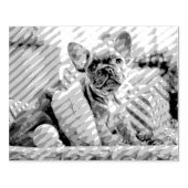 あなただけの写真カスタム ラバースタンプ (インプリント)